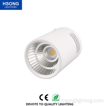 ချိန်ညှိထားသော LED Light Surface Mount 5W Dectlight